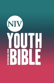 NIV Youth Bible Hardback
