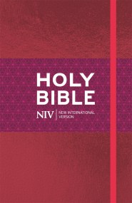 NIV Ruby Thinline Bible