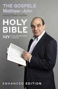 NIV Bible: the Gospels