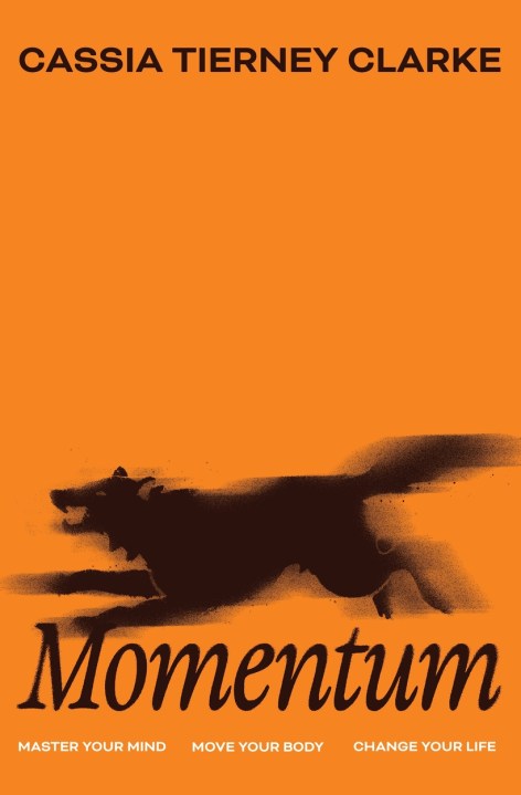 Momentum