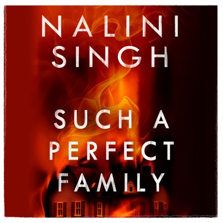 Such a Perfect Family