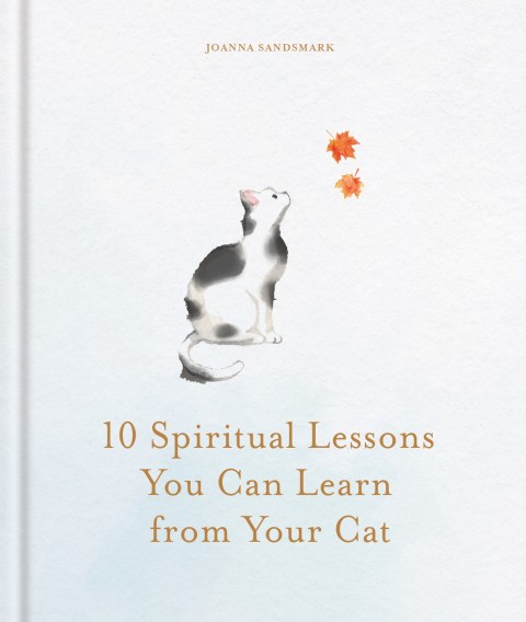 10 Spiritual Lessons You Can Learn from Your Cat