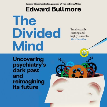 The Divided Mind