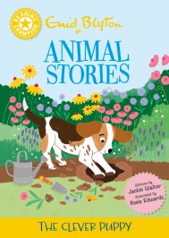 Reading Champion: Reading Champion: Enid Blyton Animal Stories: The Clever Puppy