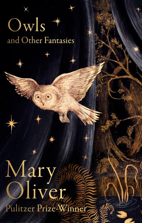 Owls and Other Fantasies