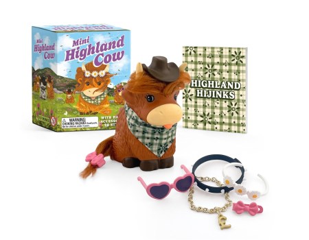 Mini Highland Cow