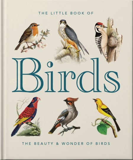 The Little Book of Birds