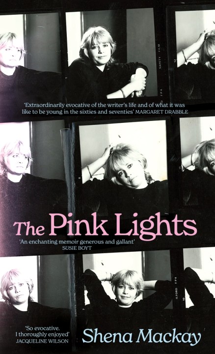 The Pink Lights